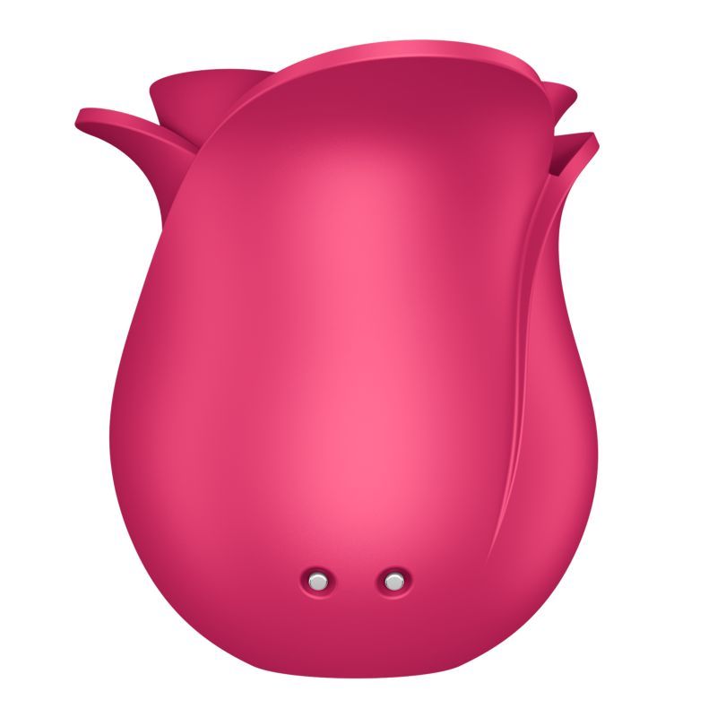 Satisfyer Pro 2 Modern Blossom Air Wave Clitoral Stimulator